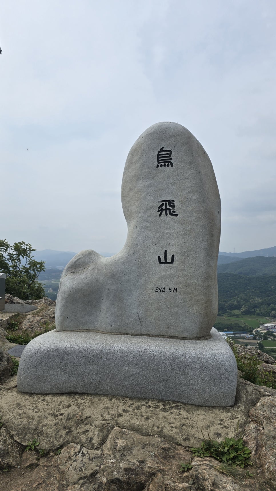 꼬꼬우동 사진 1