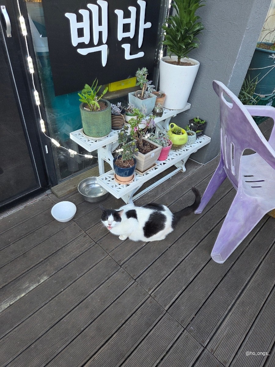 솜리식당 사진 4