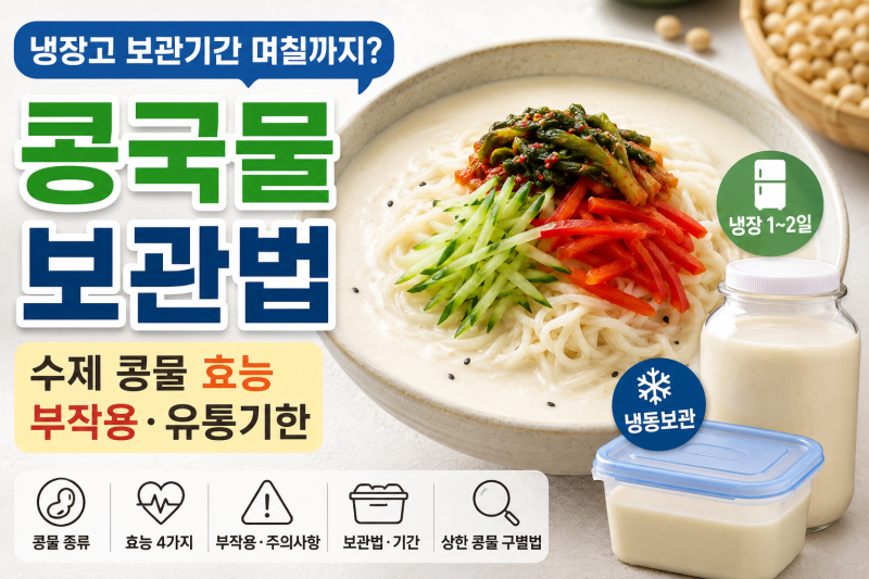 콩국물 보관법, 냉장고 보관기간 며칠까지? 수제 콩물 효능·부작용·유통기한 총정리