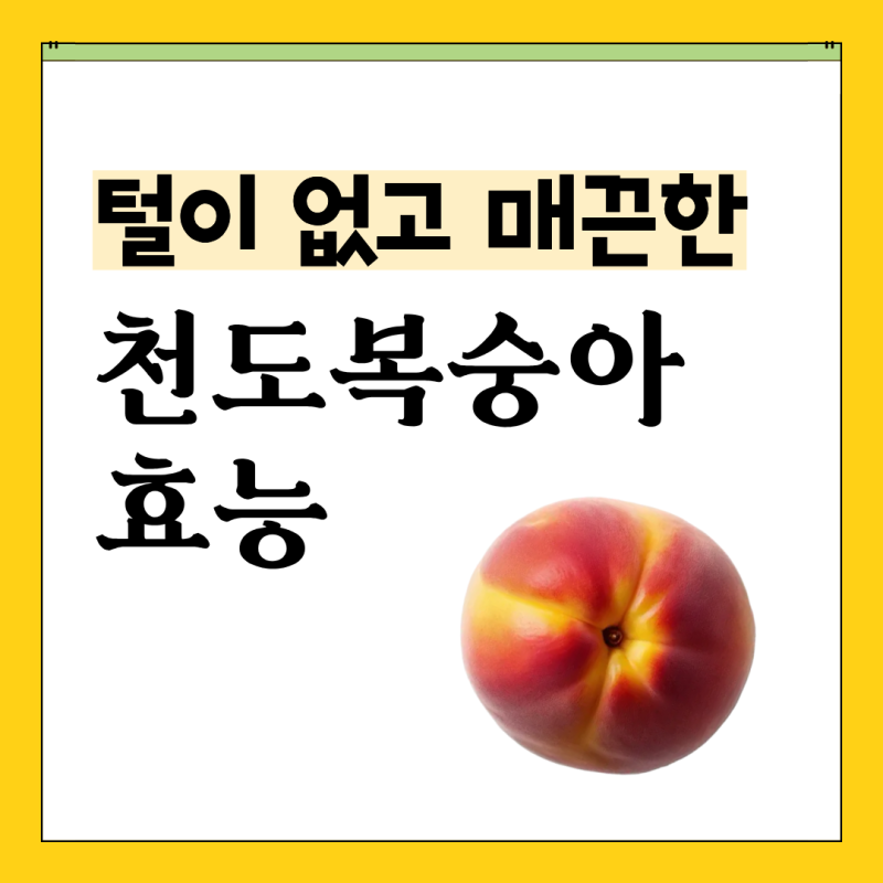 천도복숭아 당뇨 환자가 먹어도 될까? 제철·칼로리·당뇨 섭취 기준 정리