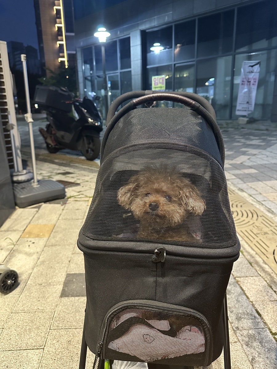 호치킨 대구대곡점 사진 4