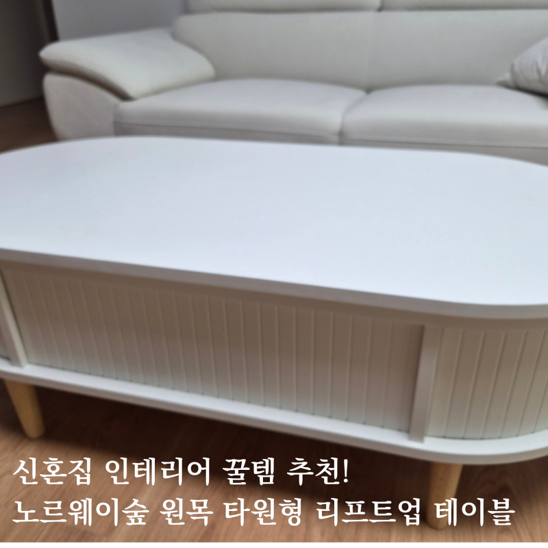 신혼집 거실 인테리어 꿀템 추천! 노르웨이숲 원목 타원형 리프트업 테이블 추천하는 이유