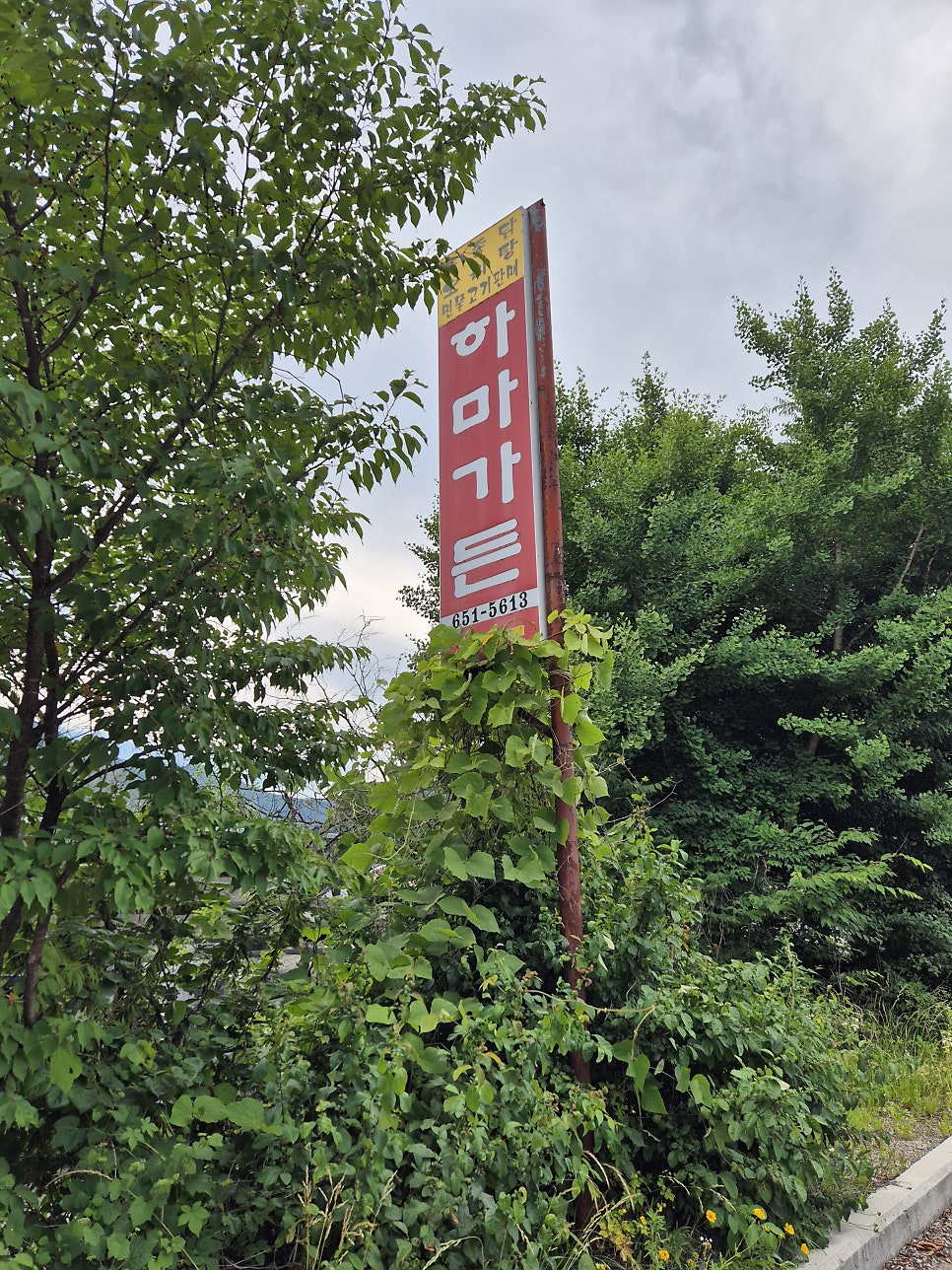하마가든 사진 3