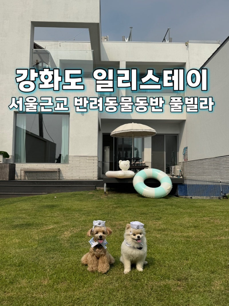 강화도 일리스테이 애견동반 풀빌라 | 수영장 있는 서울근교 숙소 후기