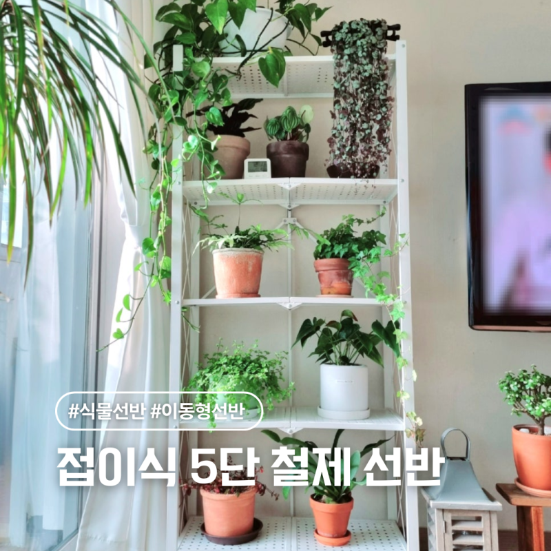 베란다 식물 선반 추천, 조립 쉬운 다용도 접이식 5단 철제 선반