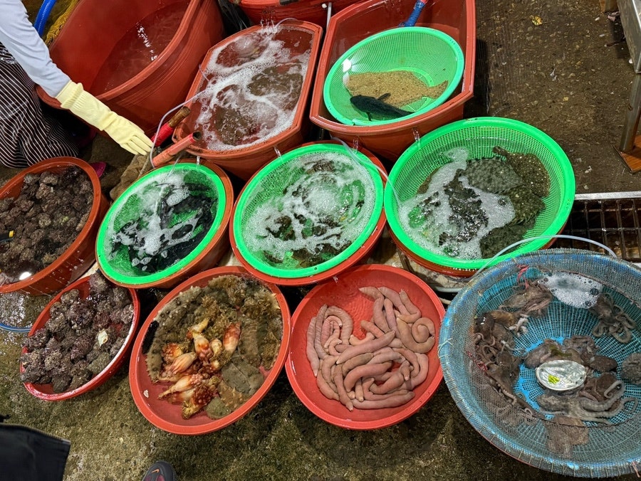 소영이네 사진 3