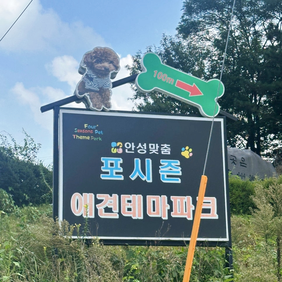 포시즌애견테마파크 사진 4