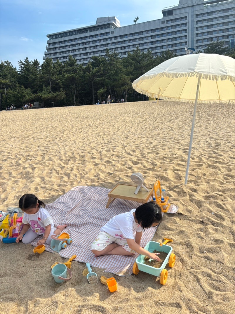 강릉 세인트존스 호텔 피크닉세트 대여 후기｜강문해변 모래놀이와 함께한 가족여행