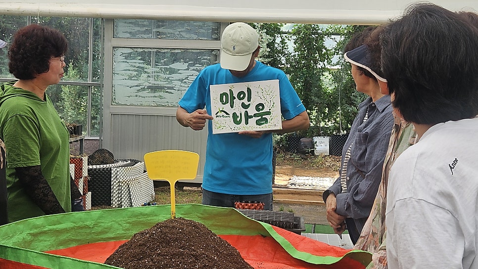 마인바움 사진 2