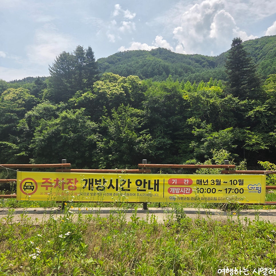 대가캠핑유원지 사진 4