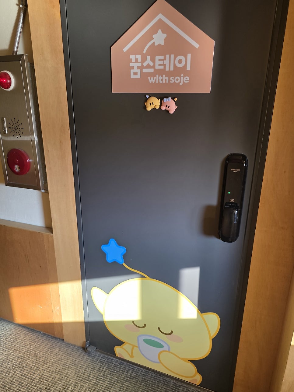 스테이소제 사진 1