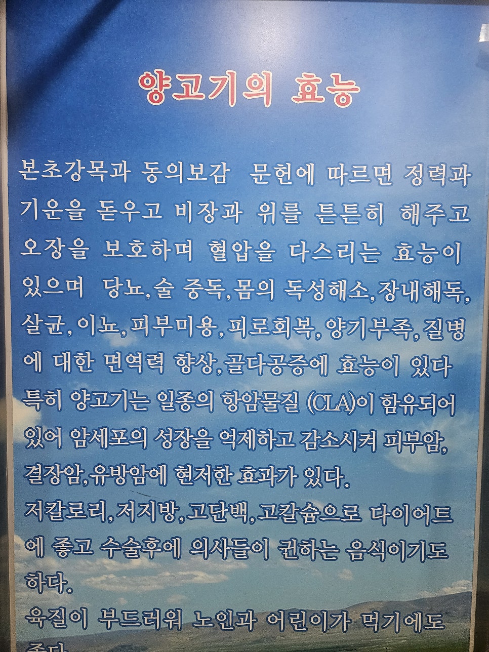 양데이 사진 5
