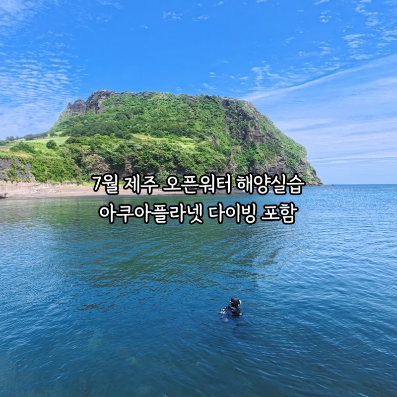 7월 제주도 스킨스쿠버 오픈워터 해양실습 아쿠아플라넷 다이빙 투어