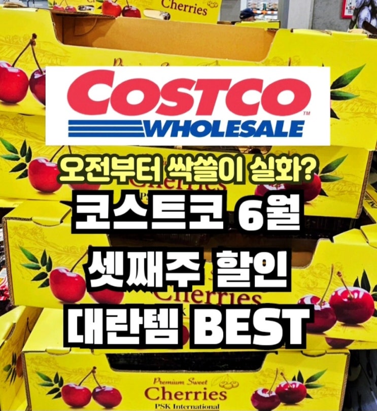  코스트코 6월 셋째주 할인상품 세일 품절대란템!