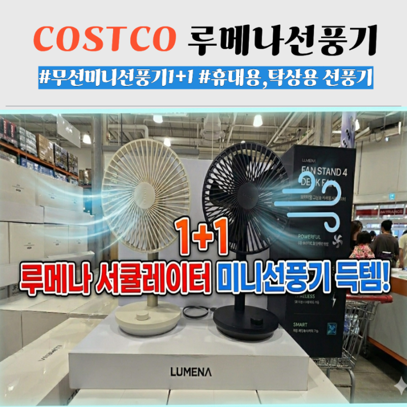 코스트코 루메나 서큘레이터 강력한 미니 선풍기 1+1 탁상용 필수템 추천