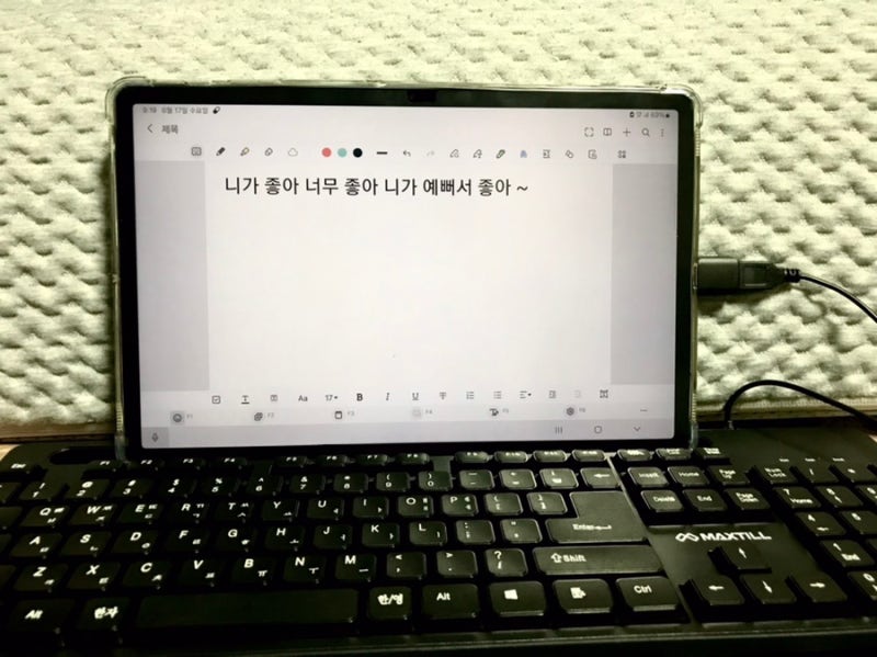 다이소 유선 키보드 추천 (맥스틸 키보드 & USB-A를 C타입으로 변환 젠더) 갤럭시탭 S7 FE 테블릿....