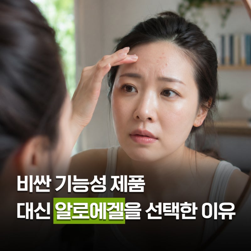 비싼 진정 제품보다 알로에겔 하나로 정리됐어요