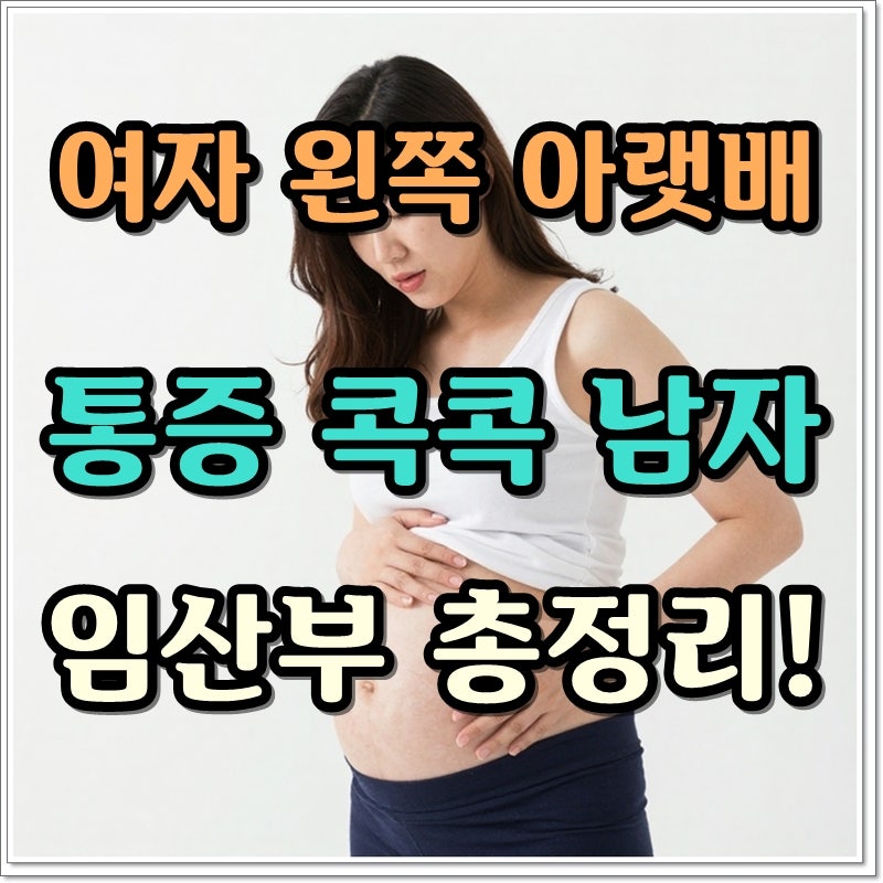 여자 왼쪽 아랫배 통증 콕콕 남자 임산부 총정리!