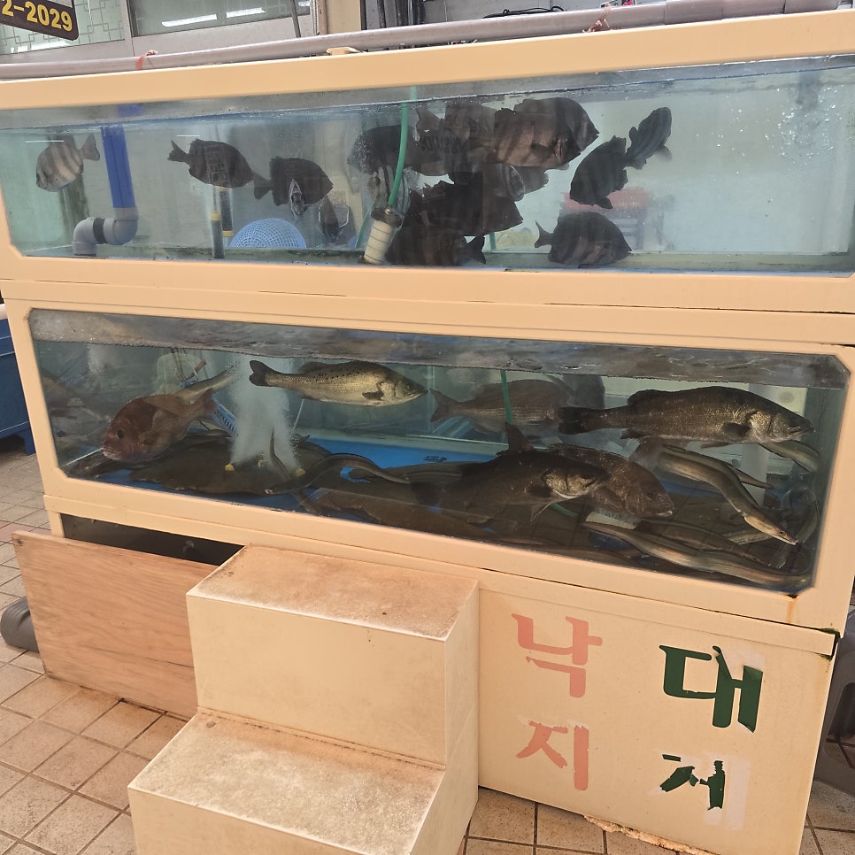 삼천포횟집 사진 6