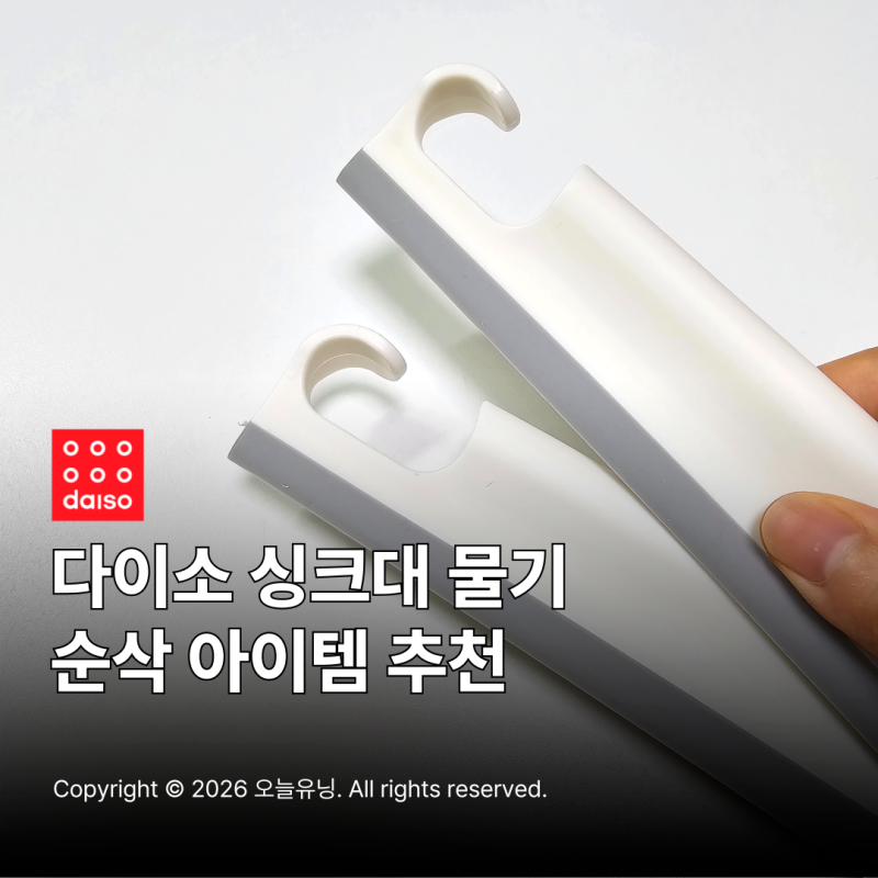 다이소 스퀴지 물기제거기 추천 실사용 후기