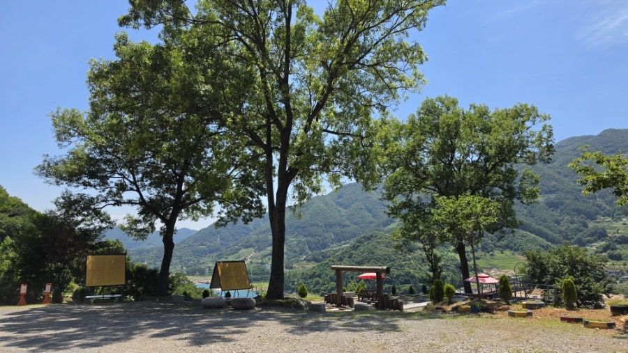 드림숲 사진 5