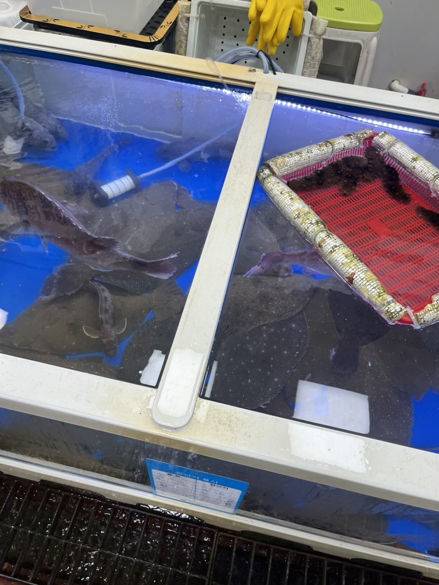 자매식당 사진 6
