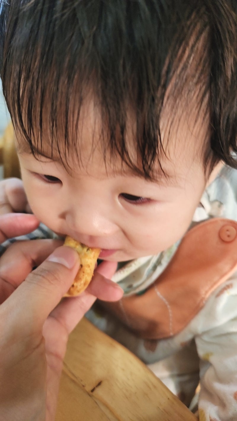 7개월 아기 계란 없이 분유빵 분유과자 티딩러스크 만드는 법