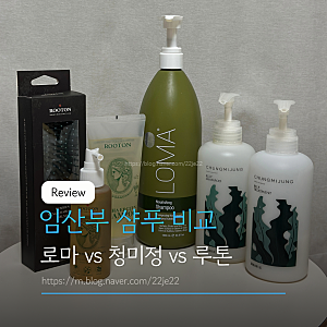 임산부 샴푸 비교 로마 청미정 루톤 임산부선물추천