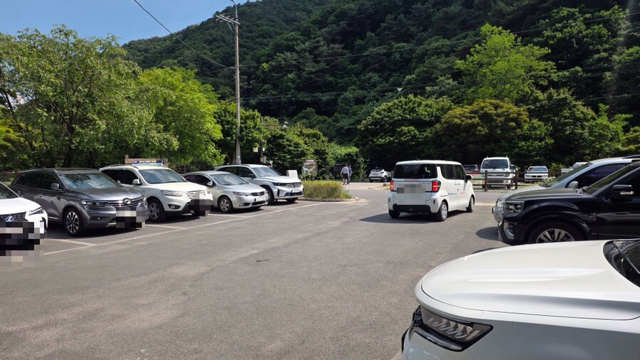 용두산산림욕장 사진 2