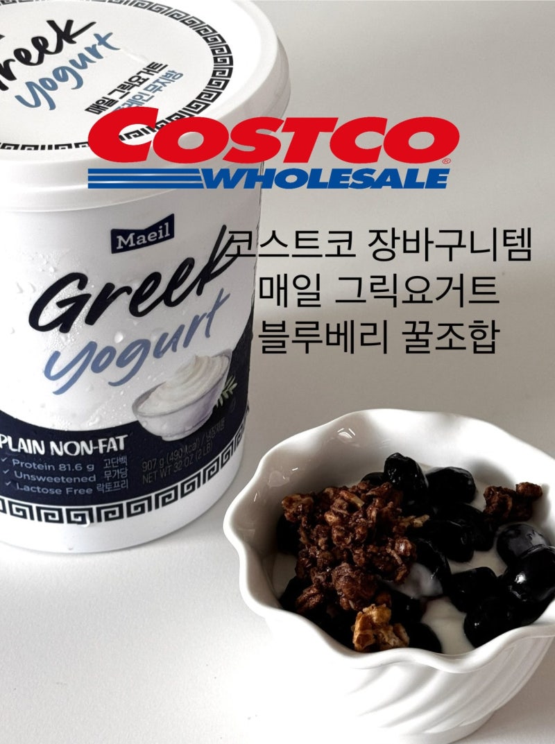 코스트코 단골템 매일 무지방 그릭요거트 블루베리랑 꿀조합