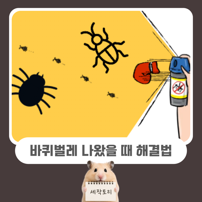 다이소 바퀴벌레 나왔을 때 사야 하는 것 원룸 자취방 바퀴벌레 없애는 법 집바퀴 외부바퀴 ....