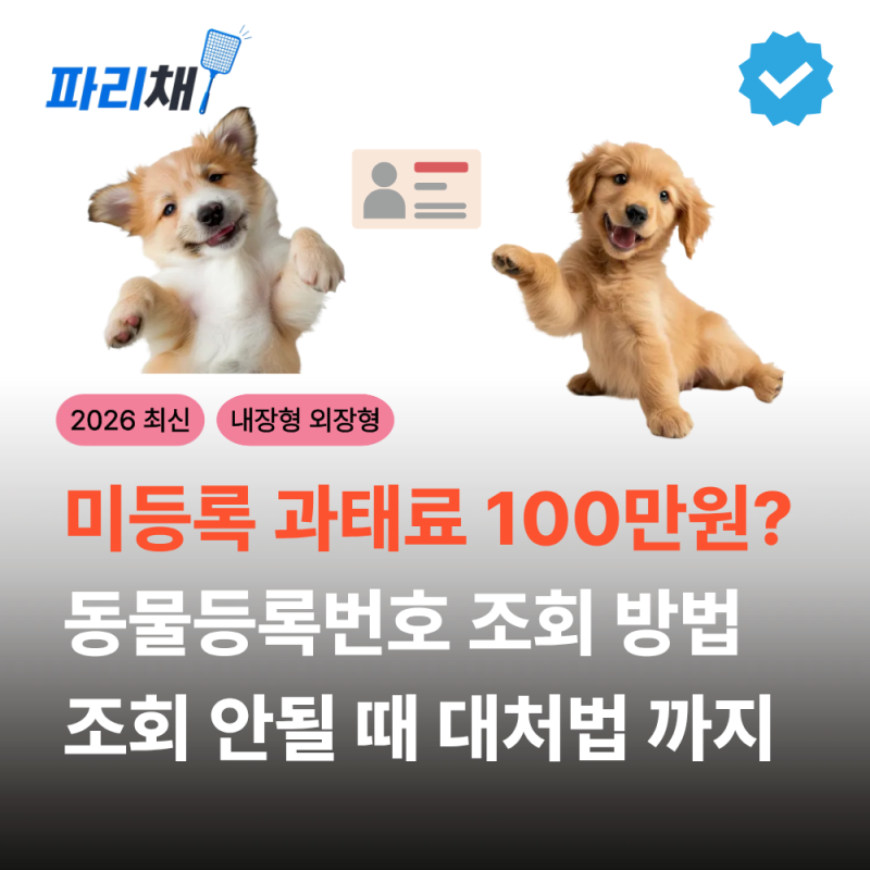 강아지 동물등록번호 조회 방법과 안될 때 대처법