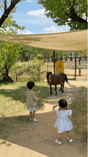 경북 아기랑 갈만한 곳(상주 파머스룸)