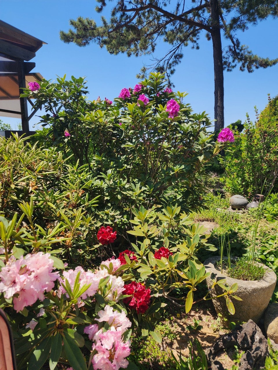 베리민박 사진 6