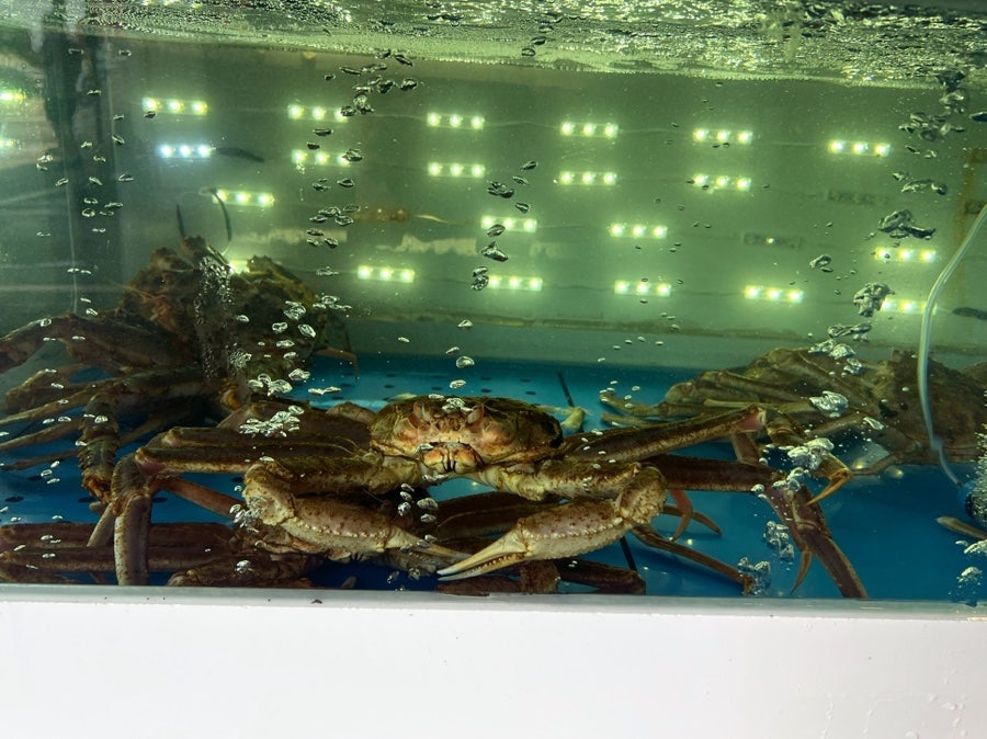 파도회집 사진 2