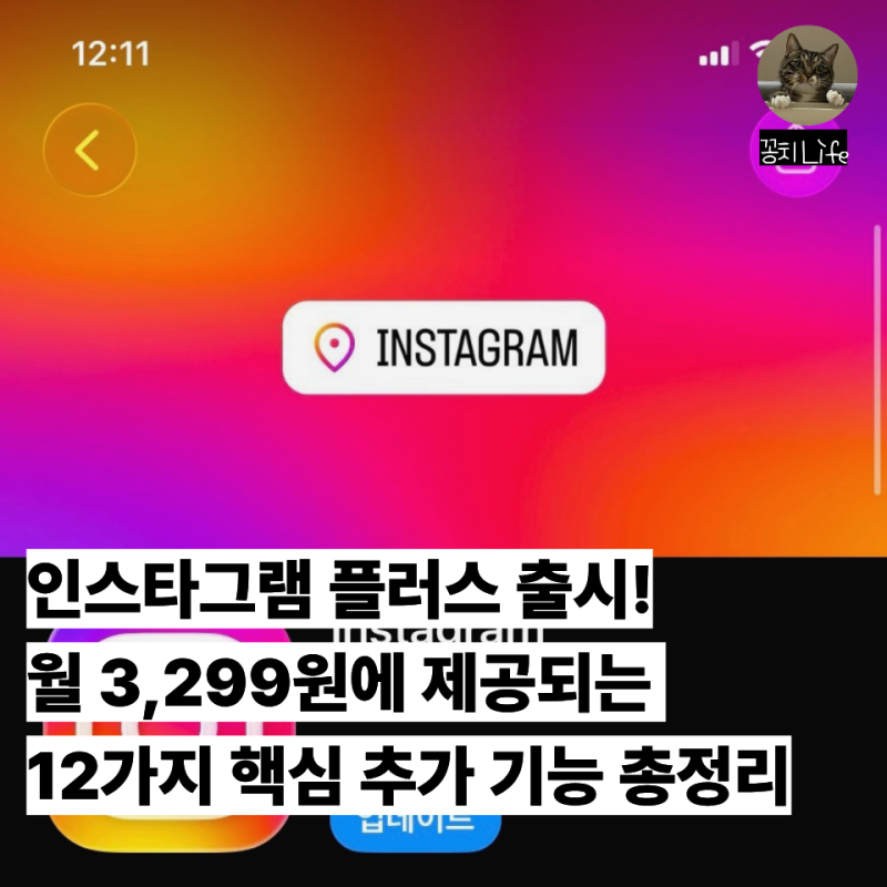 인스타그램 플러스 출시! 월 3,299원 가격 및 몰래보기 등 핵심 기능 총정리