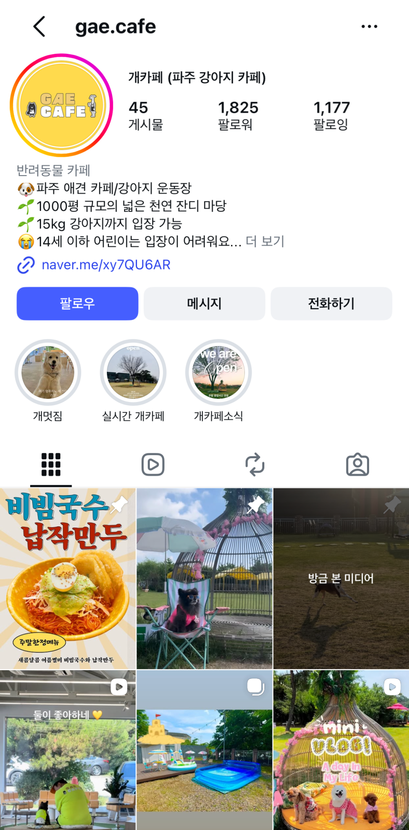 입짧은햇님 근황 주사이모 논란 후 파주 1000평 애견카페 사장님 된 인스타그램 반려견