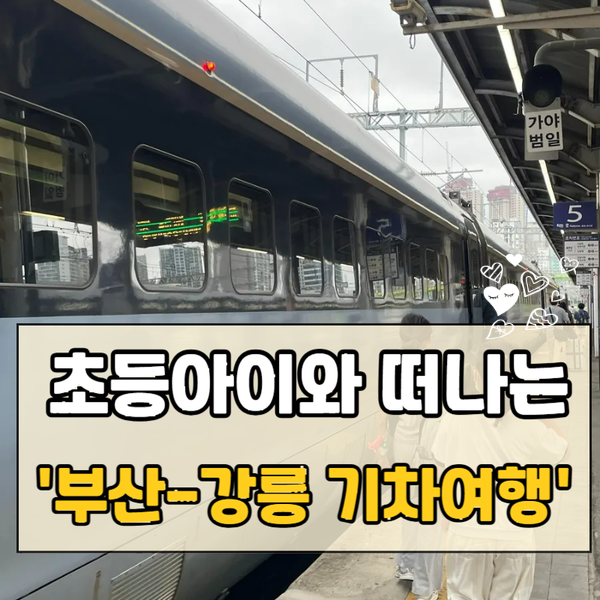 부산에서 강릉 기차 | 부전역 KTX-이음 열차 시간표 총정리 (초등 아이와 기차여행)