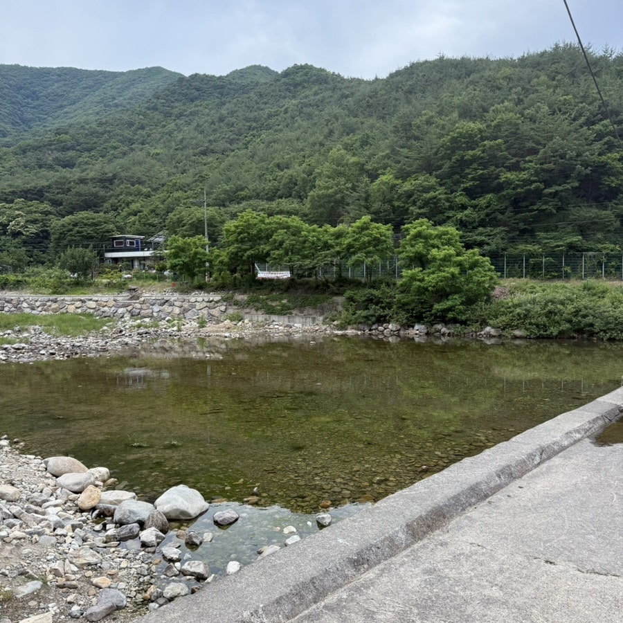 조은자리캠핑장 사진 3