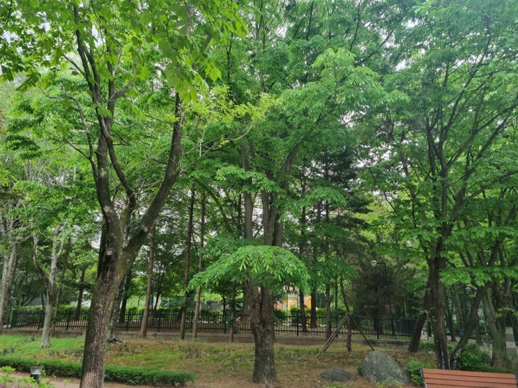  고양시작명소, 현대작명역학원에서 아기 이름 받았어요
