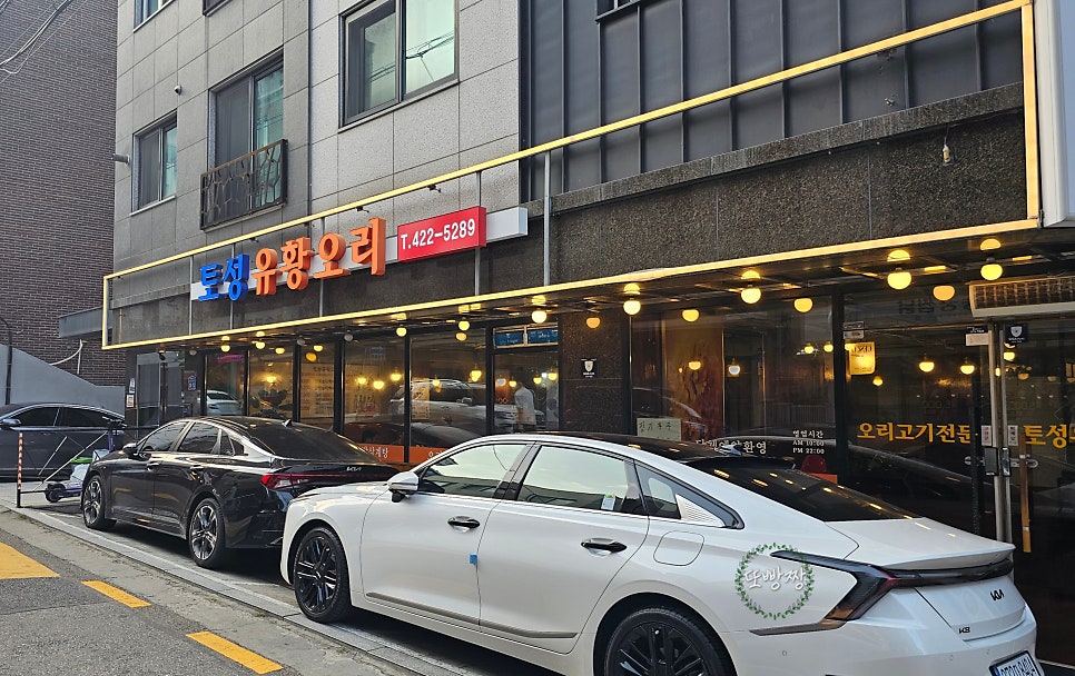 토성유황오리 사진 2