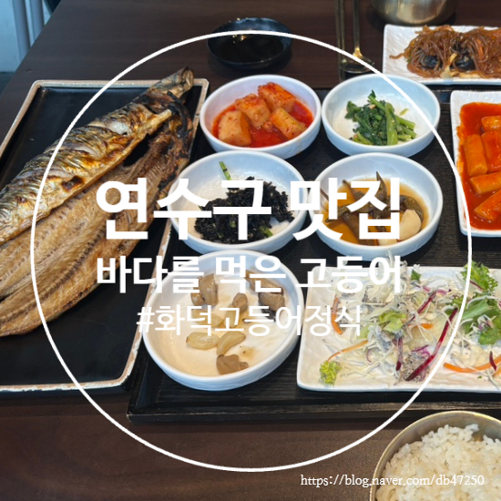 바다를먹은고등어 사진 1