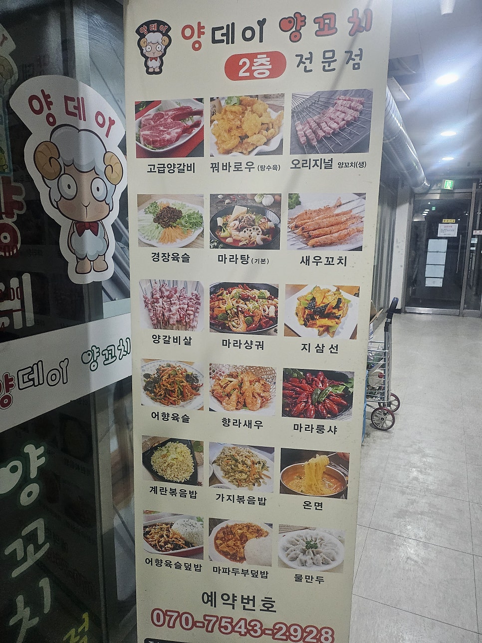 양데이 사진 6