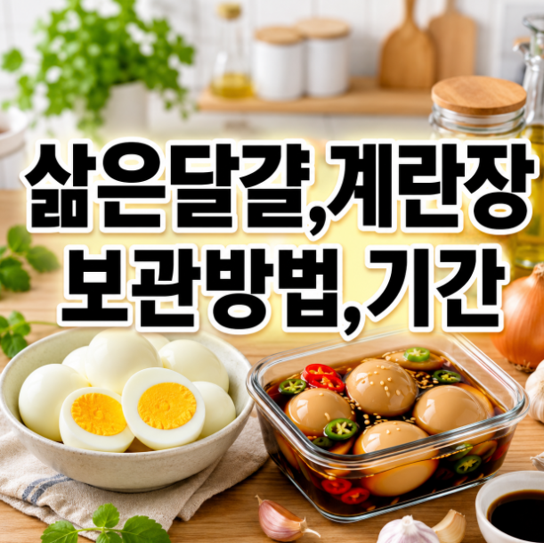 삶은 달걀 보관기간은 며칠일까? 계란장(계란장조림)까지 안전하게 먹는 방법 총정리