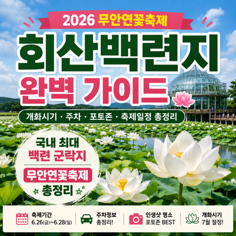 [2026 무안연꽃축제] 회산백련지 완벽 가이드 : 개화시기·주차·포토존·축제일정 총정리