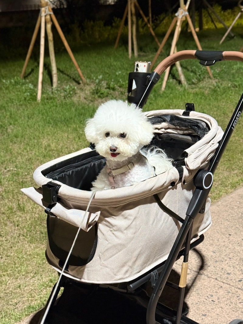 소형 개모차 저렴하게 구매한 후기ㅣ레가토 셀리 이지폴딩