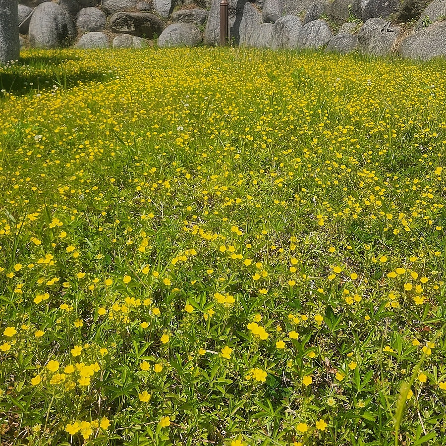 당너머한우 사진 3