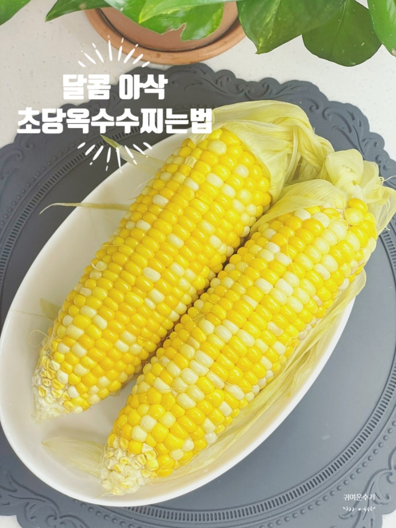 초당옥수수 찌는법 15분 레시피 삶으면 단맛 빠지는 이유!