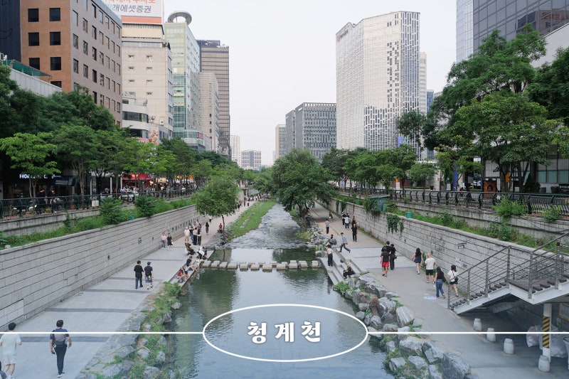 서울 종로 가볼만한곳 청계천 주말 나들이 주간 야간