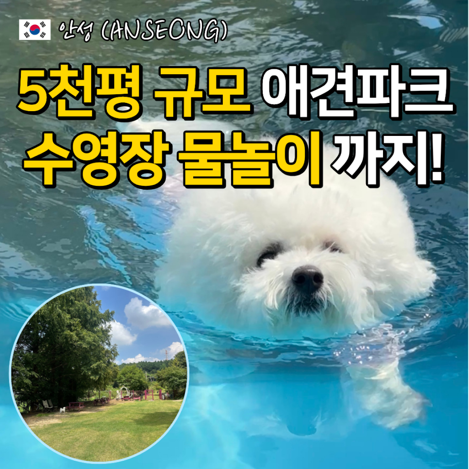 포시즌애견테마파크 사진 2